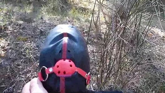 Outdoor-sex im wald. Sexy kleidung und high heels zu tragen, gefesselt, kehlenfick und gefickt