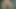 Quick cumshot  ring  with my hard cock  asian Hard cock