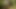 Seksi kelebek hotkinkyjo çayırda çok uzun bir dildo ve anal sarkma ile götünü sikiyor