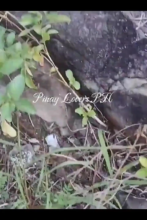 陌生人渔夫, 在海滩上操了我, 请射在我的阴户里