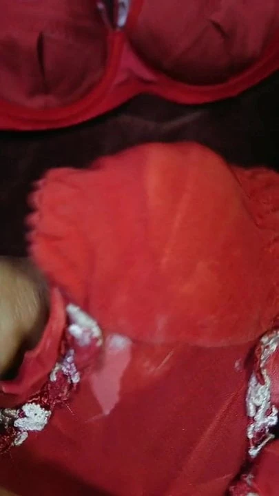 brother wife's panty and bra