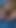 Unforgettable moment from "Eight Months Pregnant Masturbation"