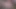 Cum from cock shaking closeup glans