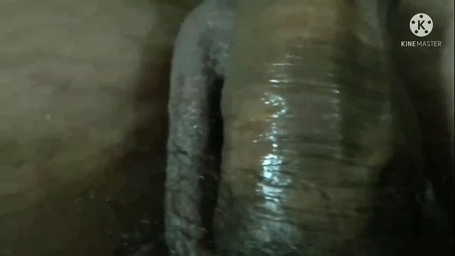 SexyRohan3- My Extra Large Oiled Cock