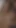 Taylee Wood ve Zara Pawg üçlü grup seks yapıyor ve Noel'i sikiyor - ahlaksız aile 4k