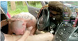 Pratinjau video