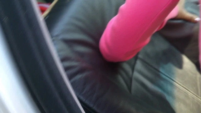 step mom in doggistile in my car
