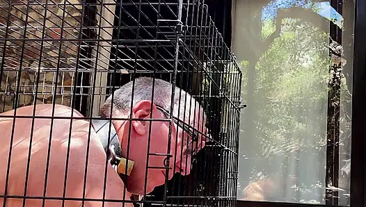 Caged - Хроники жизни у ее ног
