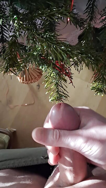 Fertilizer for Christmas Tree