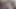 Teen Couple Looking for Work – Grandparents X
