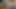 彼女はお尻が小さいけどアナルが大好きです