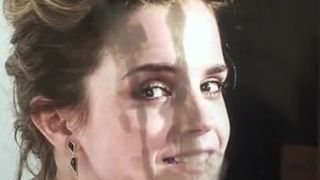 Hommage an Emma Watson 32