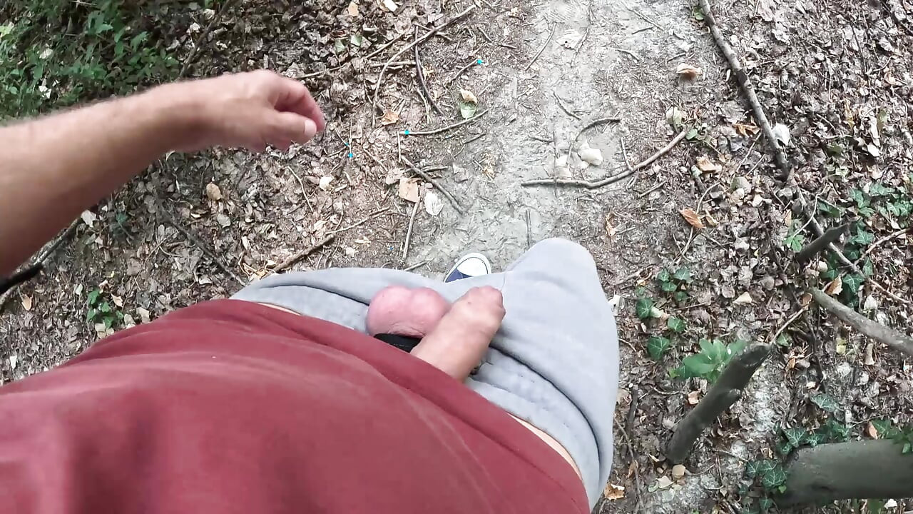 Surprise in the Foliage