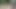 Jerking outdoor with cumshot in the forest 01