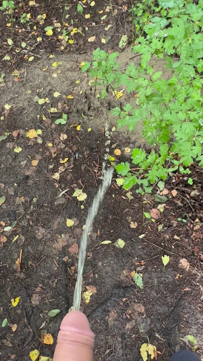 独自在湖边寻找张开的嘴巴