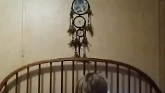 Cash Live için mastürbasyon