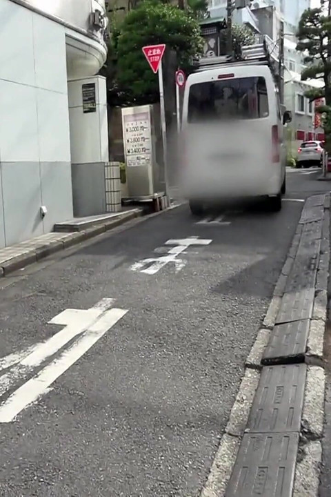 45 Years Old, Fujii Like