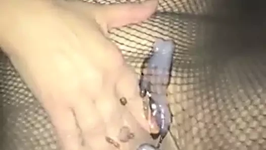 Göğüsler kedi haraç için benim karım
