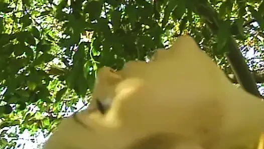 Weiße Höschen Chroniken: Sinnliche Gartenspiele