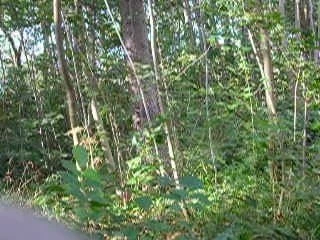 Beim Outdoorwichsen im Wald heftig abgerotzt!