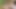 Büyük memeli orta yaşlı seksi kadın kayla quinn biraz anal günahtan hoşlanıyor