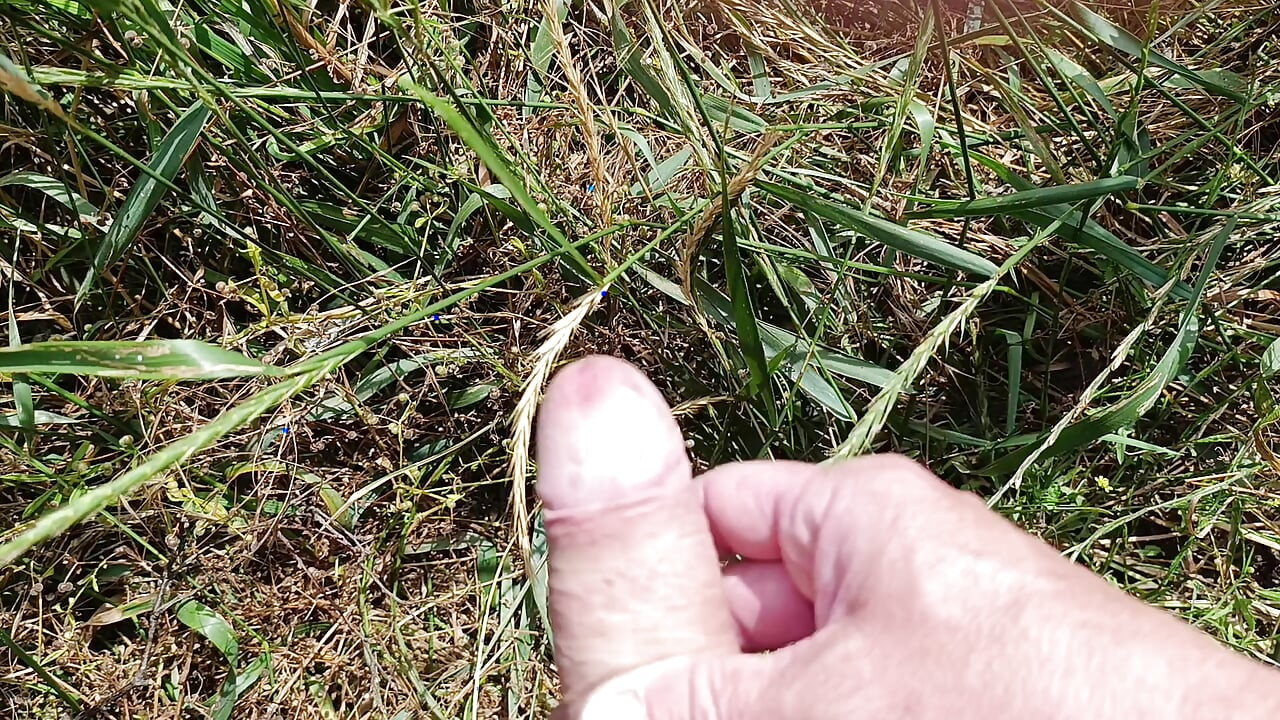 Jerking off in the field
