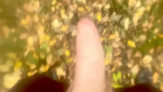 Açık havada boşalma