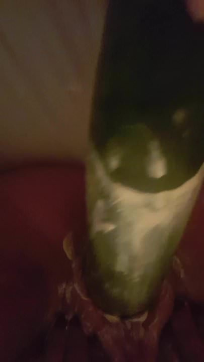 Cucumber