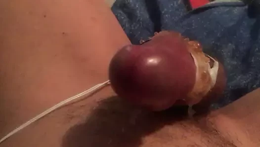 cumming