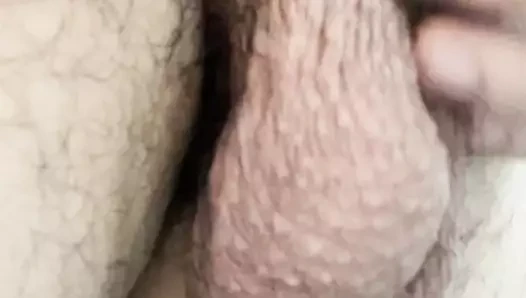 benim büyük kıllı toplarım