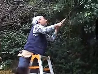 japanese Mature