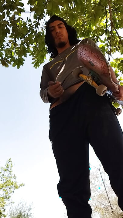 A Normal Day in the Park