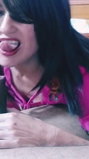 Pregled videozapisa