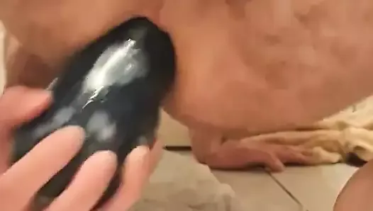 Eggplant anal