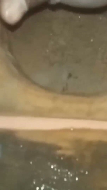 Hindi Blogs Best Indian Video Egg Tudu | Clip 3