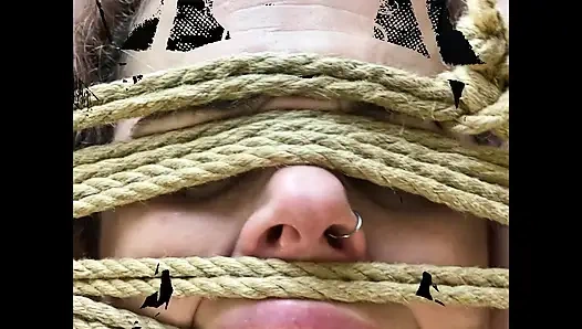 Panties, Pussy and Solo Compilation