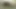Voyeur POV of creampied FTM cunt & spanking in a forest