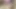 Hindi Marwari Bhabhi Sex Video Indian Sex Rajasthani Sex Desi Husband Wife Sex