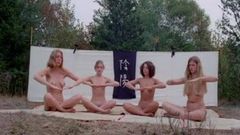 The Vixens of Kung Fu - A Tale of Yin Yang (1975)