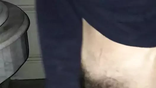 azgın için KEDİ