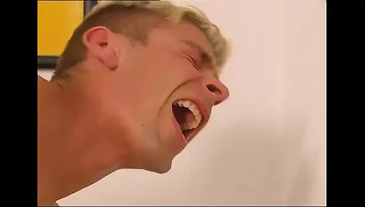 Ass-horny Chickens with Beautiful Pussies Get Fucked Properly