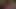 CD Lisa Love 12 inch dildo play