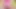 Hot Pinked Ladyboy Bubble Butt Natural Body Big Butt Booty Model Big Ass Shemale Homemade Dancer Sexy Femboy Kitty