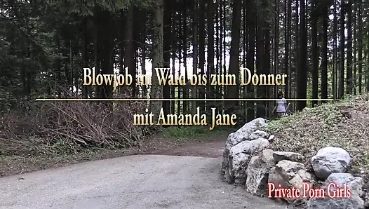Outdoor-blowjob im wald bis zum donner mit Amanda Jane