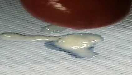 Abspritzen 1