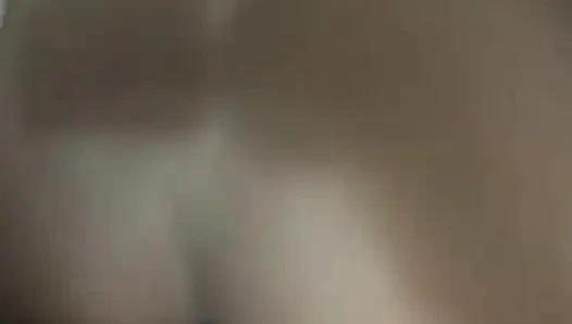 Porno ineği: carol: domaltmalı