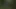 Fuck among the bushes
