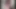 The Trans Community's Big Cock Anal Delight