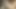 Big Cumshot! Cum on beautiful legs. Ponri
