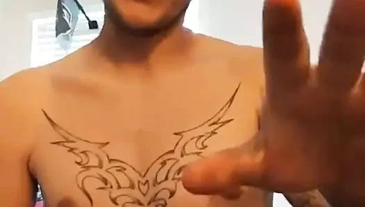 Alfa para patronu